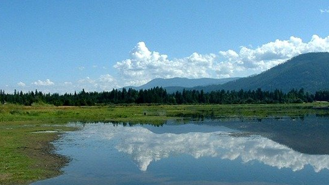 International Selkirk Loop